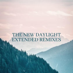 The New Daylight (The Remixes)
