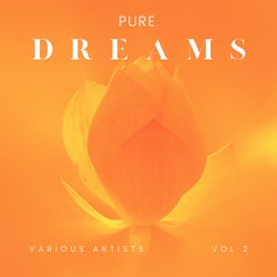 Pure Dreams, Vol. 2