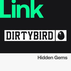 LINK Label | Dirtybird - Hidden Gems