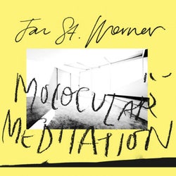 Molocular Meditation (feat. Mark E. Smith)