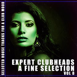 Expert Clubheads: A Fine Selection, Vol. 8