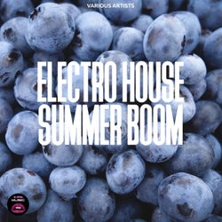 Electro House Summer Boom