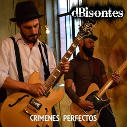 Crimenes Perfectos