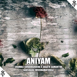 Aniyam