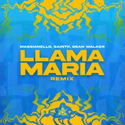 Llama Maria (Remix)