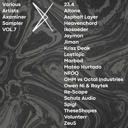 Axaminer Sampler vol. 7