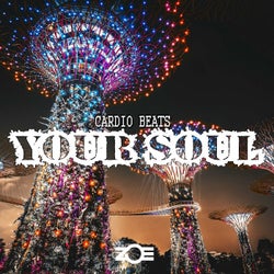 Your Soul