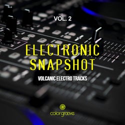 Electronic Snapshot, Vol. 2 (Volcanic Electro Tracks)