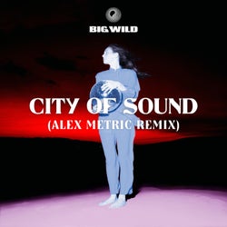 City of Sound (Alex Metric Remix)