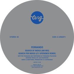 Search of Indigo (Remixes)