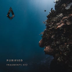 Purified Fragments XXV