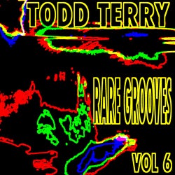 Todd Terry Rare Grooves Volume 6