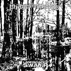 LANDSCAPES: SWAMP
