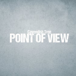 Point of View