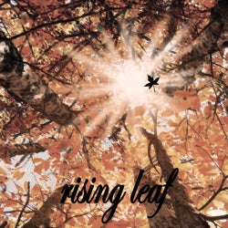Rising Leaf