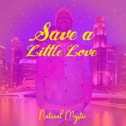 Save a Little Love