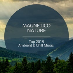 Top 2019 Ambient & Chill Music