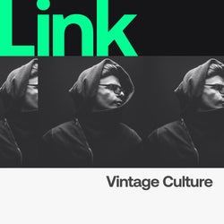 LINK Artist | Vintage Culture - February 2021