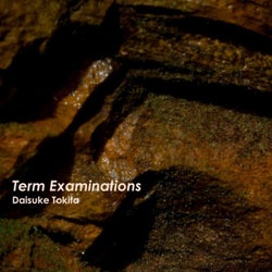 Term Examinations