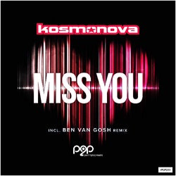 Miss You Charts by Ben van Gosh