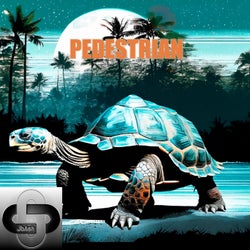 Pedestrian