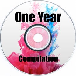 One Year Compilation