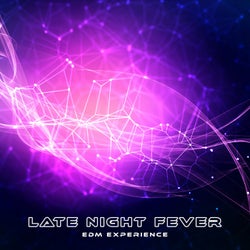 Late Night Fever: EDM Experience
