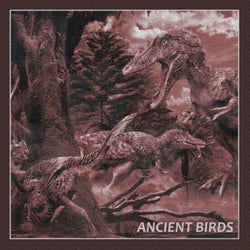 Ancient Birds