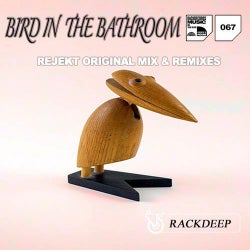 Bird In The Bathroom