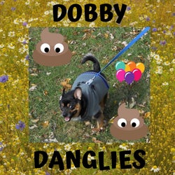 Dobby - Danglies