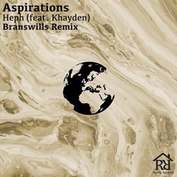 Aspirations (Branswills Remix)