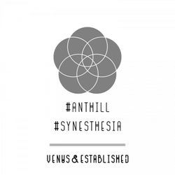 Anthill-Synesthesia
