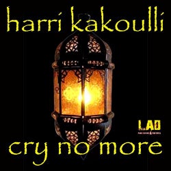 Cry No More