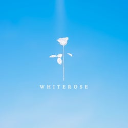 White Rose Recordings Music & Downloads on Beatport