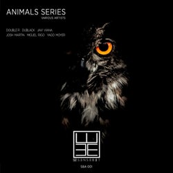 Animals Series