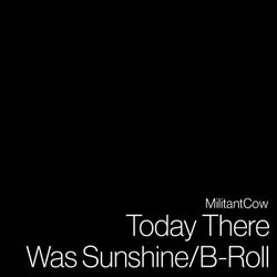 Today There Was Sunshine / B-Roll