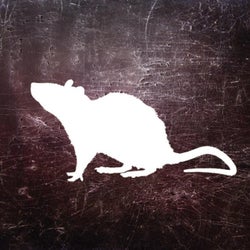 CA-101 ep
