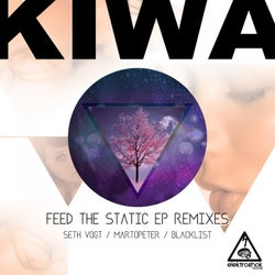 Feed The Static EP Remixes