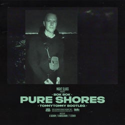 Pure Shores (TommyTommy Bootleg)