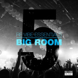 Re:Vibe Essentials - Big Room, Vol. 5