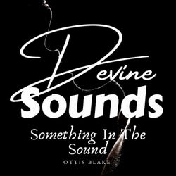 Something In The Sound