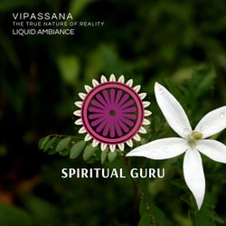 Vipassana - The True Nature Of Reality