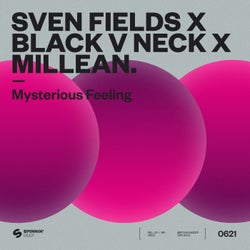 Mysterious Feeling (Extended Mix)