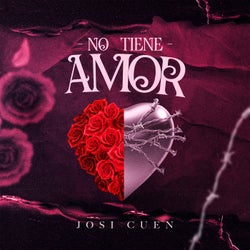 No Tiene Amor