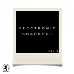 Electronic Snapshot, Vol. 6