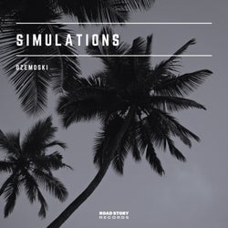 Simulations