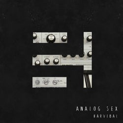 Analog Sex