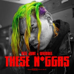 These Niggas (feat. Big June)