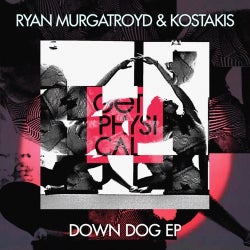 Ryan Murgatroyd's 'Down Dog' Chart