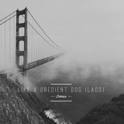 Like A Obedient Dog (LAOD)